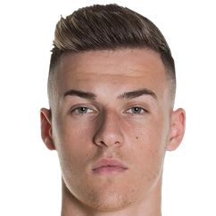 艾迪尼·赫鲁斯蒂奇